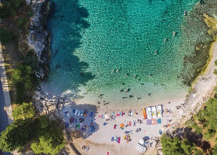 Lovely In With Kitchen Appartement *